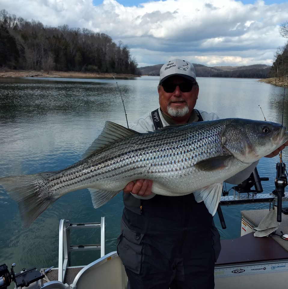 Striper fishing in East Tennessee