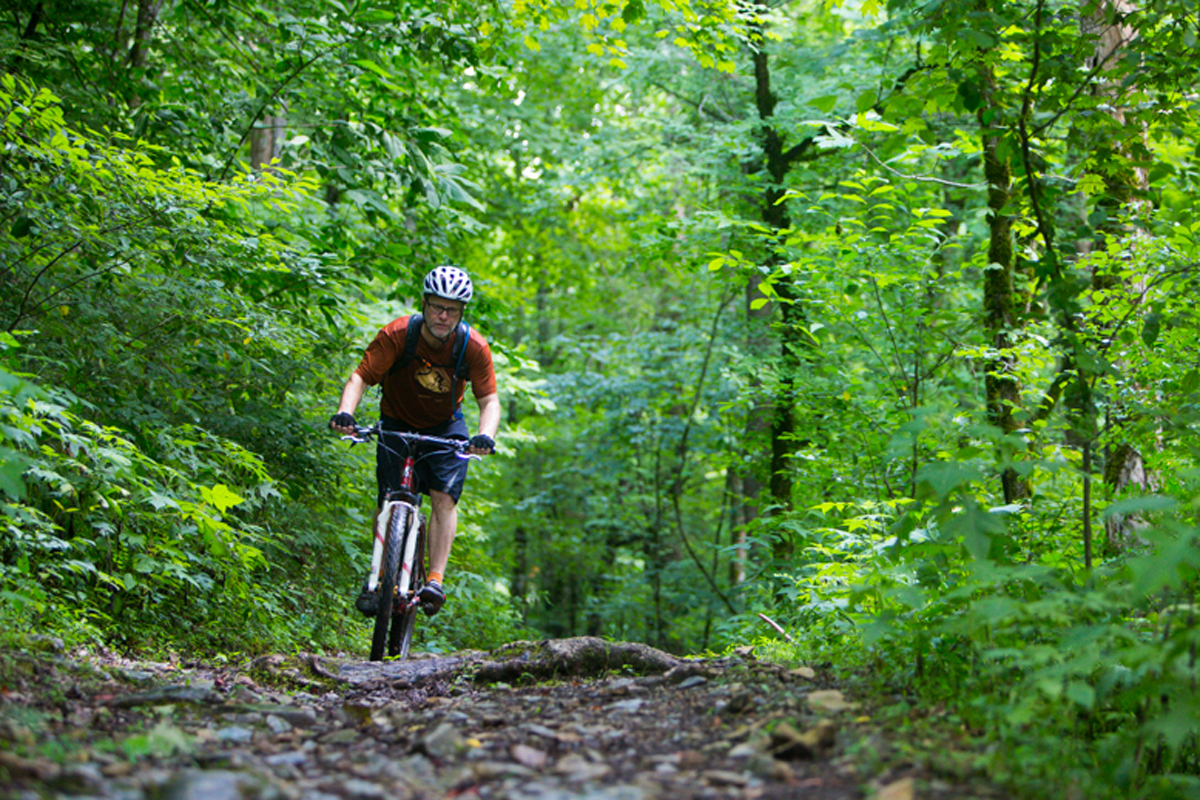 BIKING AND BEER IN ANDERSON COUNTY